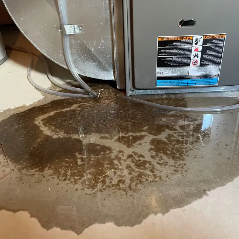 Pipe Burst and Leak Restoration in Chester, NH